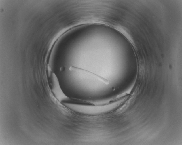 X0000070191004200606021052