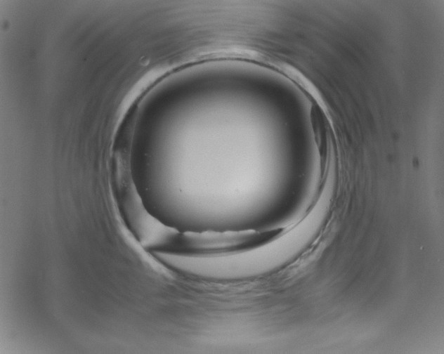 X0000070191005200606021052