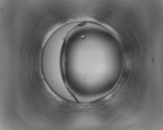 X0000070191006200606021052