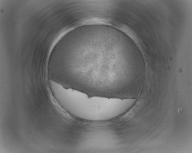 X0000070191008200606021052