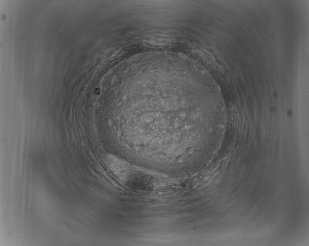 X0000070191009200606021052