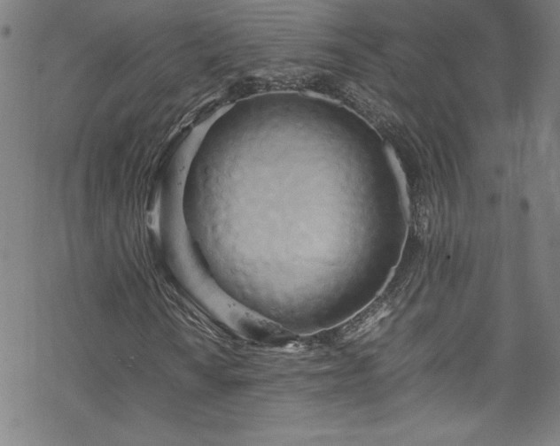 X0000070191010200606021052