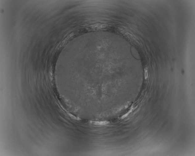 X0000070191011200606021052