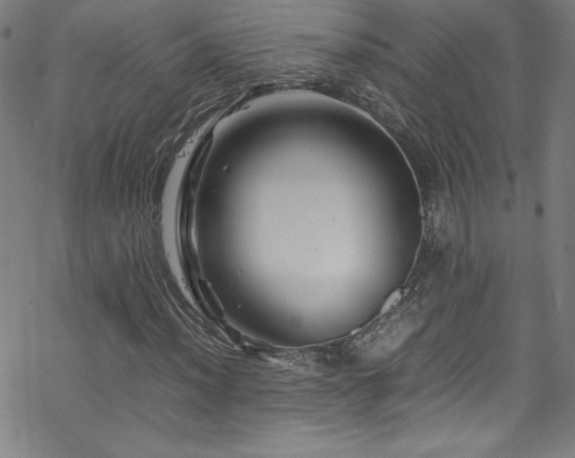 X0000070191012200606021052