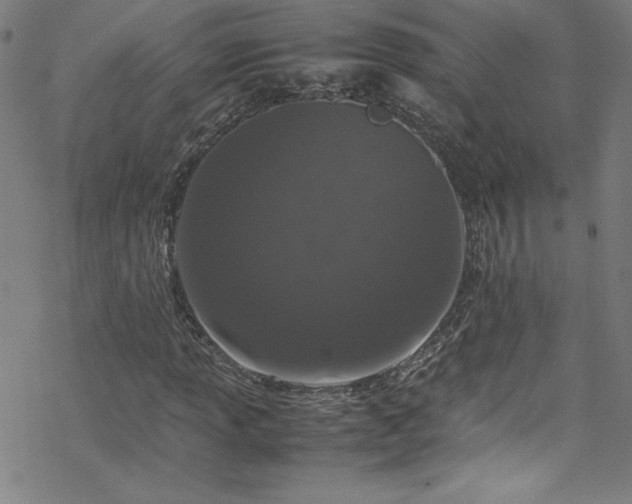 X0000070191013200606021052