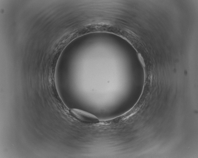 X0000070191014200606021052