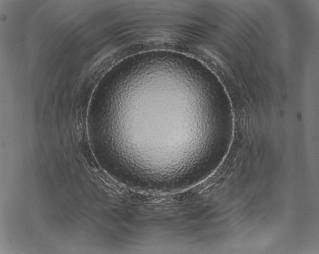 X0000070191015200606021052