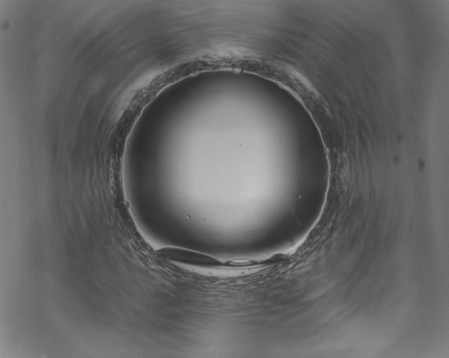 X0000070191016200606021052