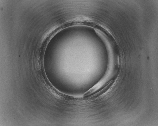 X0000070191018200606021052