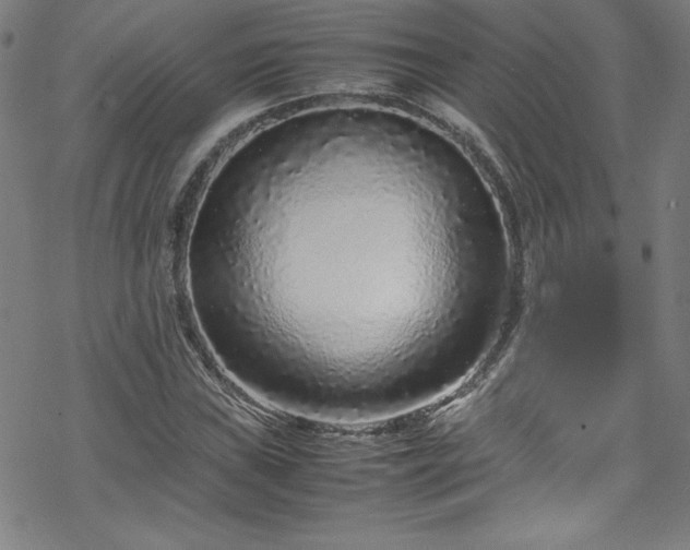 X0000070191019200606021052