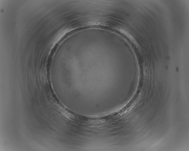 X0000070191023200606021052