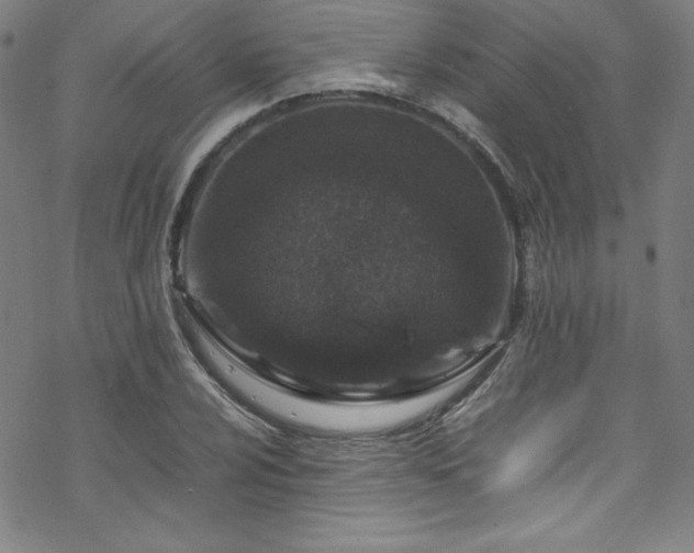 X0000070191024200606021052