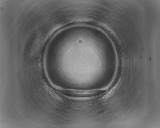 X0000070191025200606021052