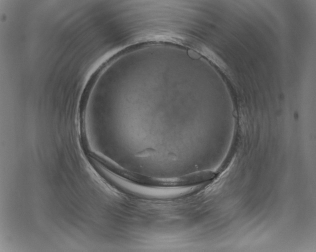 X0000070191028200606021052