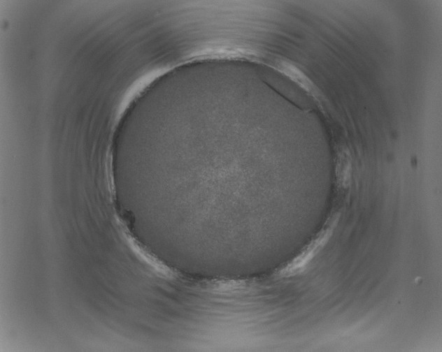 X0000070191030200606021052