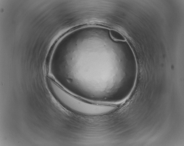 X0000070191032200606021052