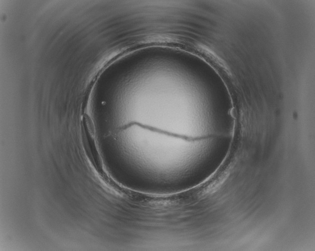 X0000070191033200606021052