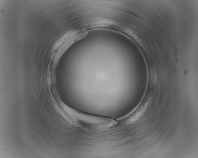 X0000070191034200606021052