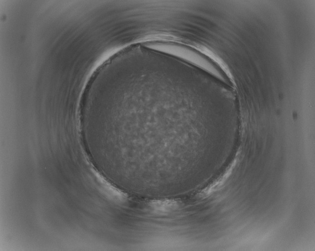 X0000070191037200606021052