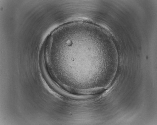 X0000070191038200606021052