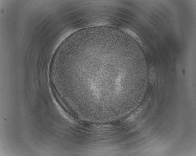 X0000070191039200606021052