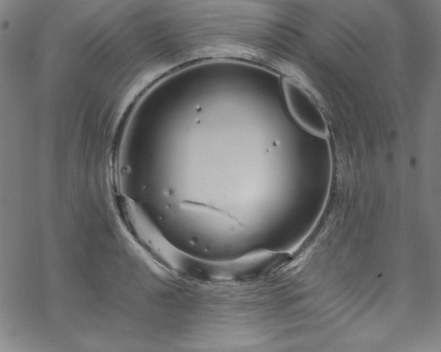 X0000070191040200606021052