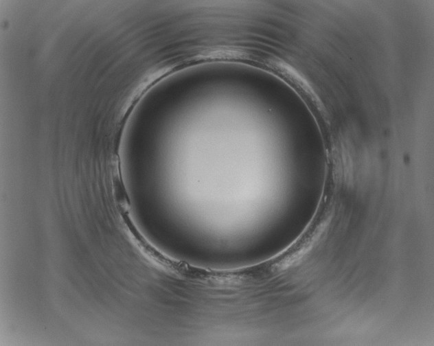 X0000070191041200606021052