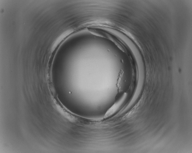 X0000070191042200606021052