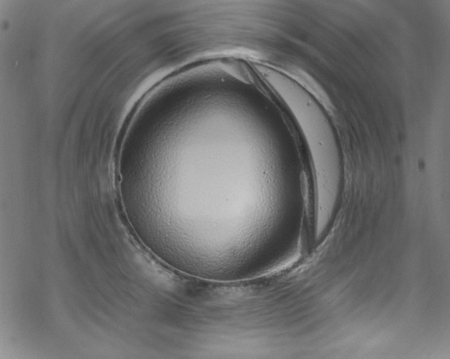 X0000070191044200606021052