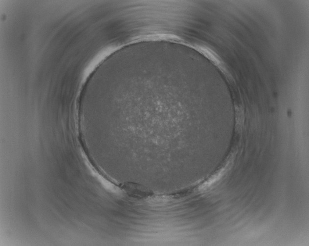 X0000070191046200606021052