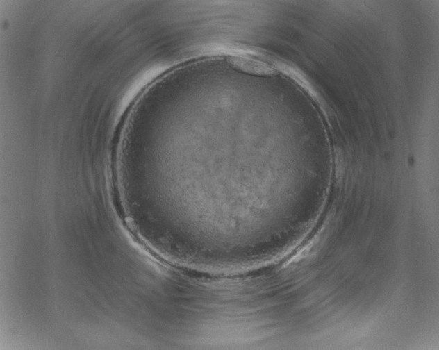 X0000070191048200606021052