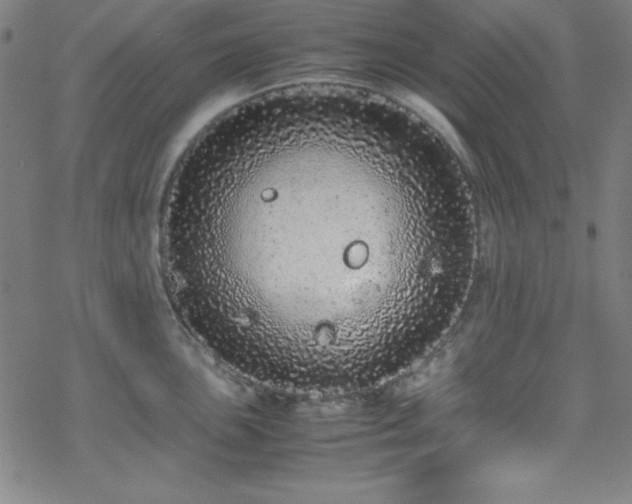 X0000070191051200606021052