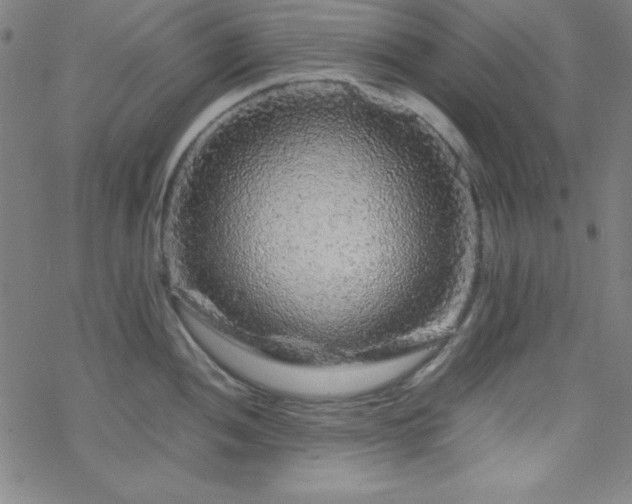 X0000070191052200606021052