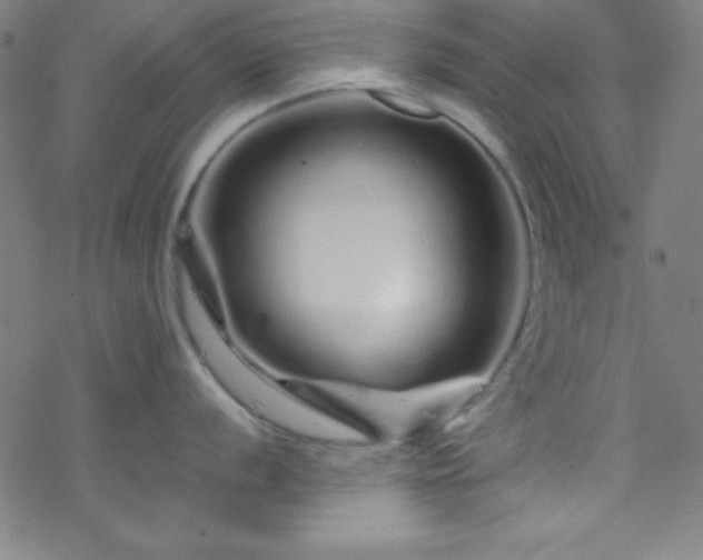 X0000070191056200606021052