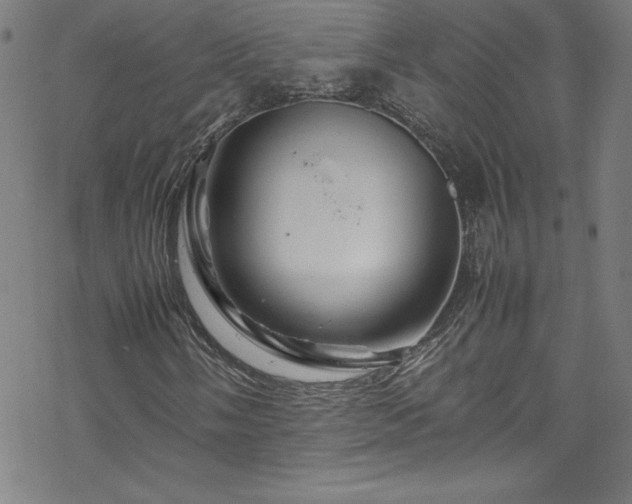 X0000070191058200606021052