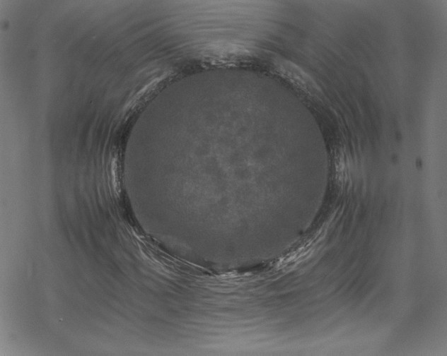 X0000070191060200606021052