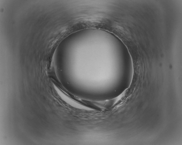 X0000070191061200606021052