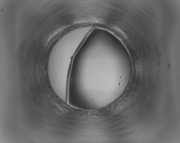 X0000070191064200606021051