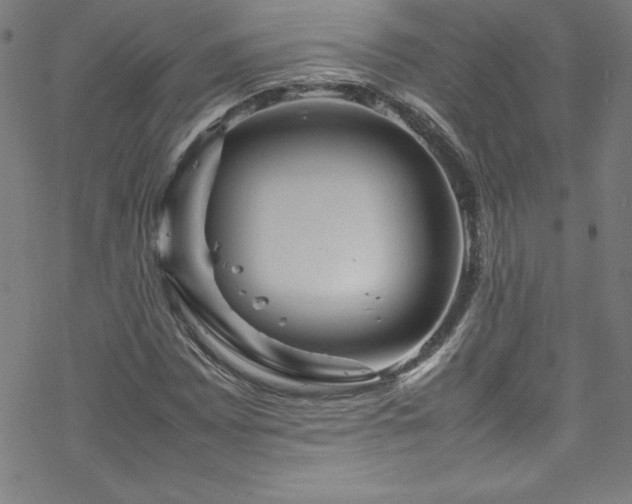 X0000070191065200606021051