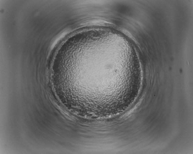 X0000070191067200606021051