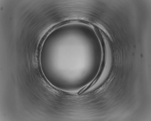 X0000070191068200606021051