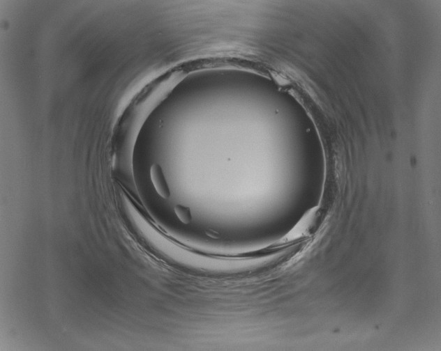 X0000070191069200606021051