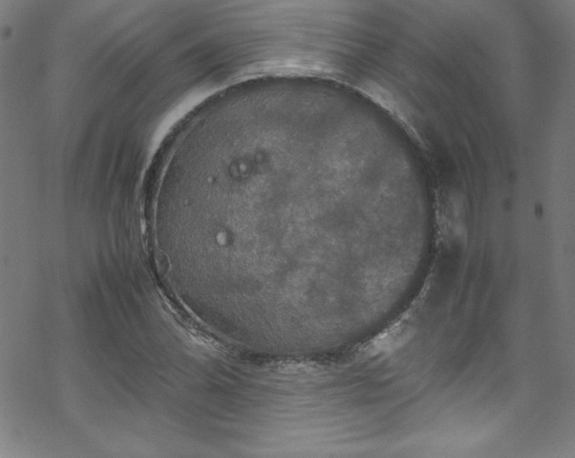 X0000070191070200606021051