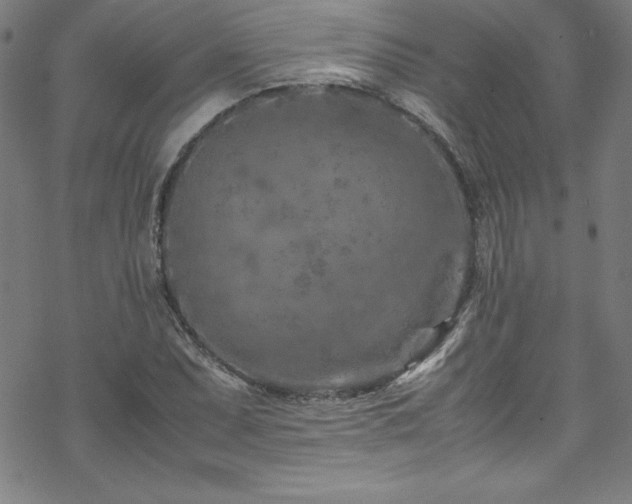 X0000070191071200606021051