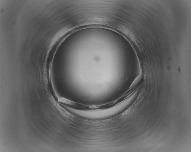 X0000070191072200606021051