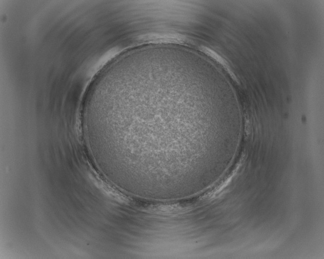 X0000070191074200606021051