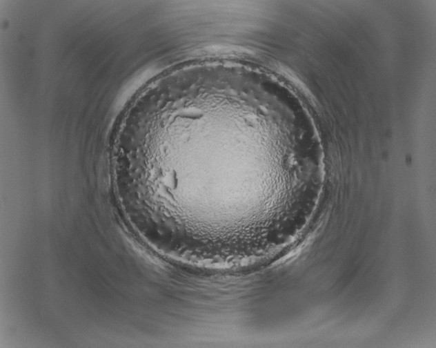 X0000070191075200606021051