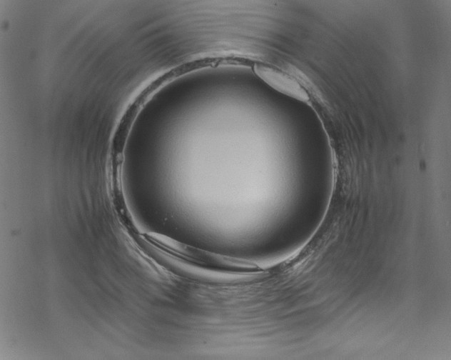 X0000070191076200606021051