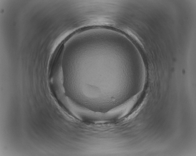 X0000070191077200606021051