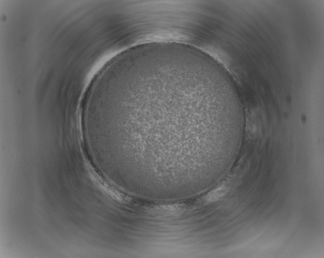 X0000070191078200606021051